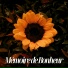 Musique Pour Sommeil Profond