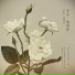 Woong San feat. Youngjoo Song