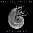 Nautilus Pompilius
