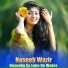 Naseeb Wazir
