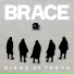 Birds of Tokyo