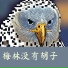 梅林没有胡子