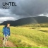 Untel