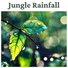 Relaxing Sounds of Rain Music Club