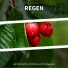 Regensounds, Regengeräusche, Schlafmusik