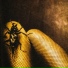 FAUST