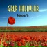 Grup Halaylar