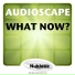 Audioscape