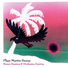 Bruno Vansina, Orchestra Exotica