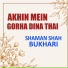 Shaman Shah Bukhari