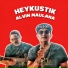 Alvin Maulana