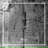 Olin Mosaic