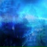 FLONEX
