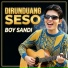 Boy Sandi