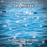 Coastal Sounds, Nature Sounds, Ocean Sounds