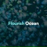 Water Soundscapes