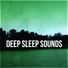 Sleep & Dream Music Academy