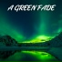Cat Relaxing Master