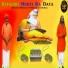 Bheraram Bharti Tavidhar