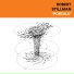 Robert Stillman