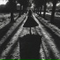 PhantomTrack
