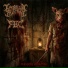 Tumorflesh Rejection, FBC, dany fbc