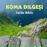 Koma Dılgeşi