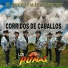 Los Pumas Del Norte