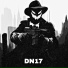 DN17