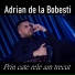Adrian de la Bobesti