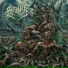 Acranius