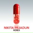 Nikita Prjadun