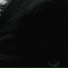 ellicope