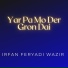 Irfan Feryadi Wazir