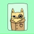 Hazen Cantor, Chill Kitten