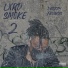 Drizzy Frvncis
