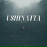 Japan Meditation Music