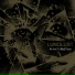 Lunglust