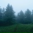 inalery