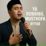 Ayyub