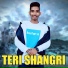 Karan singh