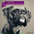 Phonjaxx (Tiesto's Club Life 185)