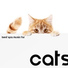 Pet Relax Academy