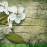 Spring Juice