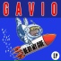 Gavio