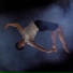 Neblina - Luiza Rozza feat. Luiza Rozza