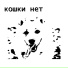 кошки нет