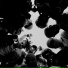 7thirtybeats