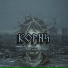 цинус