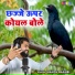Manoj Baghel